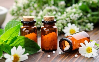 Workshop EHBO met homeopathie