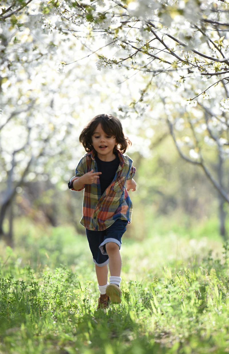 Heldere kijk homeopathie Veenendaal