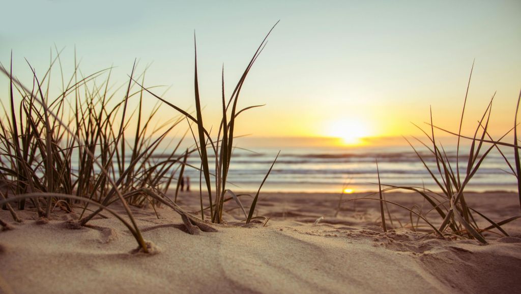 Heldere kijk homeopathie Veenendaal werkwijze